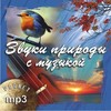 Звуки природы с музыкой от Planet mp3