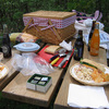 Well-planned picnic