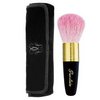 Guerlain Meteorites Brush