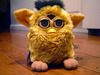 Furby