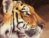 Королевский тигр