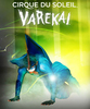 Cirque du Soleil В МОСКВЕ представление Varekai
