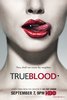 DVD True blood