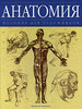Джонатан Фримантл - Анатомия, пособие для художников
