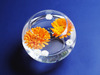 Хочу круглую вазу,чтобы ставить в нее гибкие цветы-получится стеклянный шар с живыми цветами)