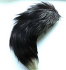 wolf tail