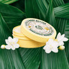 Moringa Body Butter. The Body Shop