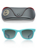 Ray Ban Wayfarer