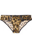 Dolce & Gabbana Leopard-print briefs