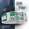 The Sterling Silver Slytherin House Ring