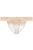 Miu Miu  Rushed briefs