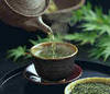 зеленые чаи - в любом исполнении