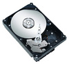 Seagate ST31500341AS