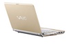 Sony Vaio VGN-TT31MR/N