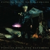 Patrick Wolf, The Bachelor