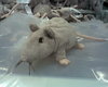 Икеивскую мышь