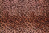 Something in leopard print