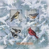 Dimensions Зимние птицы (Snow Birds), Номер:	73022