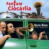 Концерт Fanfare Ciocarlia