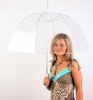 зонт, прозрачный