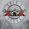 Пластинка или лицензионный диск Guns`n`Roses