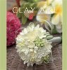 Книга "CLAY ART FOR ALL SEASONS"