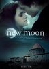Посмотреть "New moon"