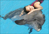 поплавать с дельфинами (не в бассейне)