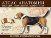 Анатомический атлас мелких домашних животных
