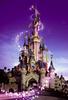 DisneyLand Park (Paris)/Walt Disney World (Florida)