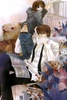 Junjou Romantica (все тома)