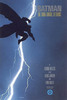 Batman: The Dark Knight Returns [DELUXE EDITION]