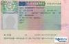 Шенгенская виза на год