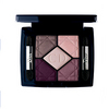 Dior 5 Color Eyeshadow №970