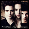 New Moon DVD