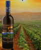 собственный виноградник в Чили