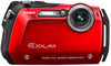 Casio Exilim EX-G1