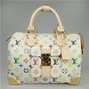 Louis Vuitton speedy 30 multycolor