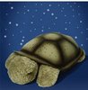 звездная черепаха