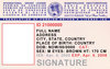 Международные водительские права