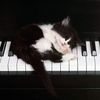 Научиться играть на фортепиано