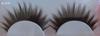 Natural Looking False Eyelashes EL016