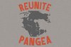 Футболка Reunite Pangea