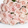 Букет светло-кремовых роз