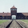 посетить Освенцим (Аушвитц - Биркенау)