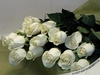 белые розы по всему дому