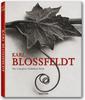 K. Blossfeldt The completed published work