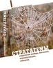 Алексей Воеводин Стратагемы. Стратегии войны, бизнеса, манипуляции, обмана