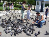 Кормить голубей на площади