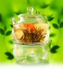 Зеленый чай-цветок
